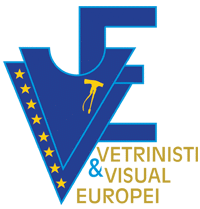 Associazione Vetrinisti e Visual Europei