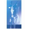 Porta costume donna